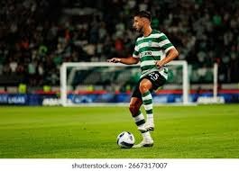 [图]詹姆斯30+8+8东契奇30+10 湖人擒鹈鹕取三连胜