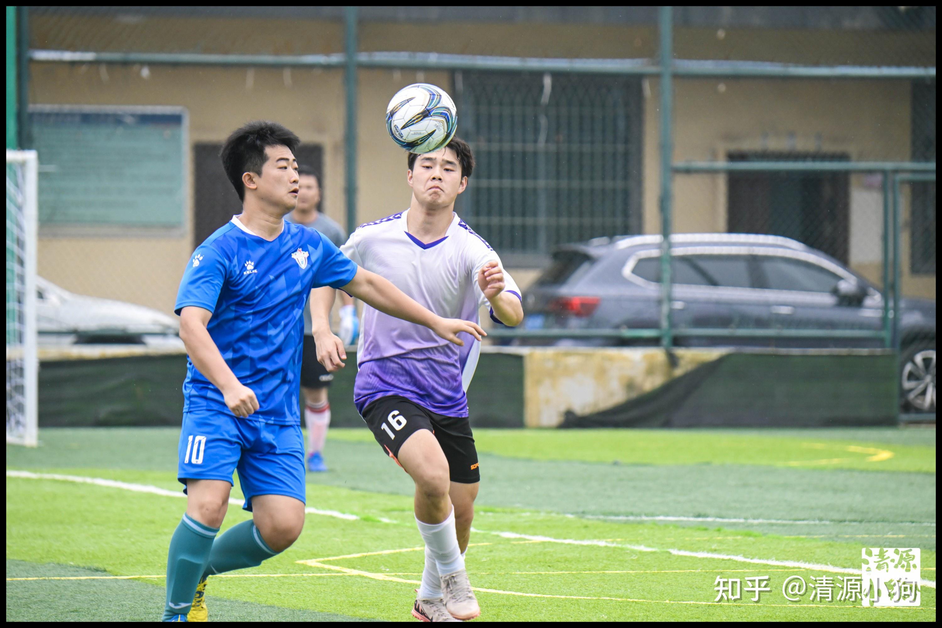 合上进行了 合上进行了